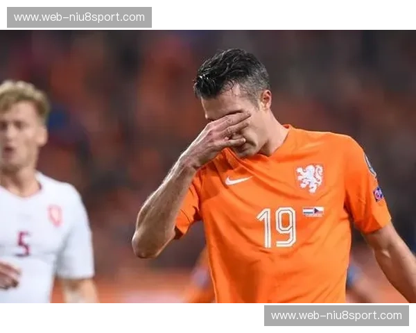 橙色风暴席卷赛场：荷兰与斯洛伐克，足球荣耀的硬碰硬